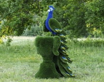 Топиари композиция Павлин на вазоне - газон Deluxe Топиари композиция Павлин на вазоне - газон Deluxe