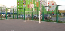 Ворота с баскетбольным щитом Романа 203.10.00