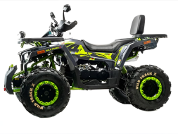 Квадроцикл MOTOLAND 200 Wild Track X Winch, фото 3