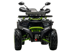 Квадроцикл MOTOLAND 200 Wild Track X Winch, фото 1