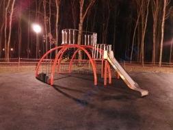 Черепаха 3, фото 3 Черепаха 3, фото 3