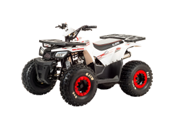 Квадроцикл MOTOLAND 125 Wild, фото 1