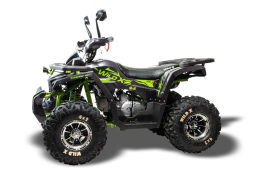 Квадроцикл MOTOLAND 125 Wild X Pro, фото 4