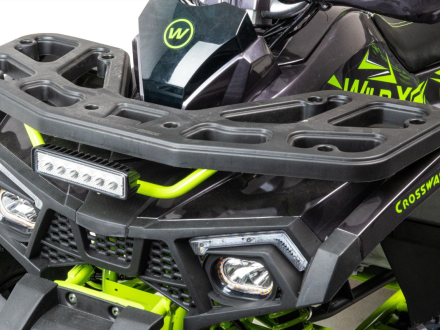 Квадроцикл MOTOLAND 125 Wild X Pro, фото 3