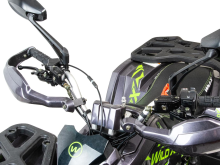 Квадроцикл MOTOLAND 125 Wild X Pro, фото 2