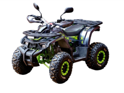 Квадроцикл MOTOLAND 125 Wild X Pro, фото 1