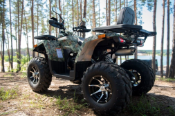 Квадроцикл YAMAHA Shark 300cc, фото 13