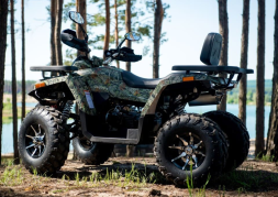 Квадроцикл YAMAHA Shark 300cc, фото 11