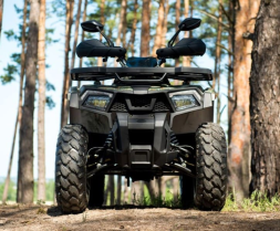 Квадроцикл YAMAHA Shark 300cc, фото 7