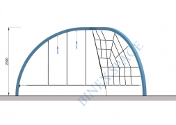 Лесония, фото 2 Лесония, фото 2