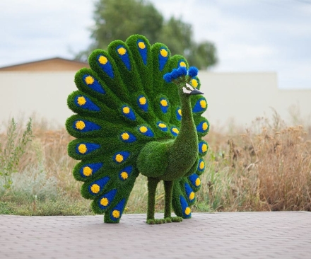 Топиари &quot;Павлин НЭО&quot;, фото 1