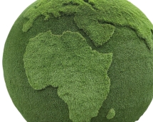 Топиари земной шар,d=220см - газон Eco+Premium