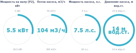 Насос с префильтром Saci Pumps CF-4 750, фото 2