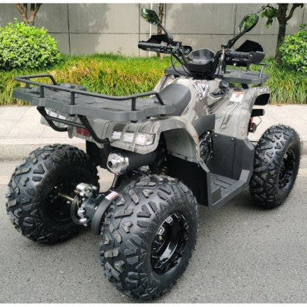 Квадроцикл Motax ATV Grizlik T 200, фото 6