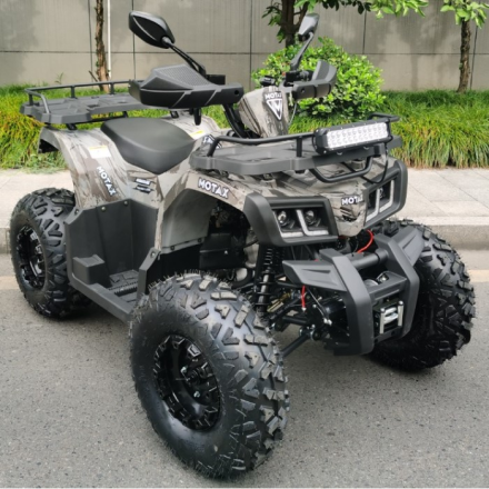 Квадроцикл Motax ATV Grizlik T 200, фото 4