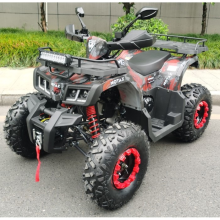 Квадроцикл Motax ATV Grizlik T 200, фото 2