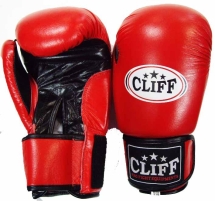 Перчатки бокс F.TECH (кожа) 10 oz красные