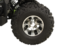 Квадроцикл GRIZZLY 200 Premium, фото 7