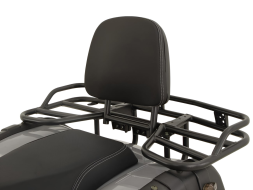 Квадроцикл GRIZZLY 200 Premium, фото 6