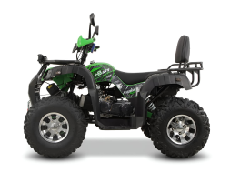 Квадроцикл GRIZZLY 200 Premium, фото 5