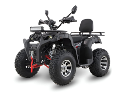 Квадроцикл GRIZZLY 200 Premium, фото 1