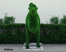 Топиари Верблюд двугорбый - газон Deluxe