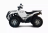 Квадроцикл ADLY Advanced ATV600U 4WD