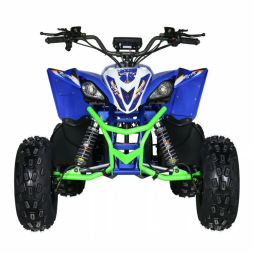 Квадроцикл Motax E-PENTORA 1500W, фото 15