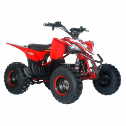 Квадроцикл Motax E-PENTORA 1500W, фото 8