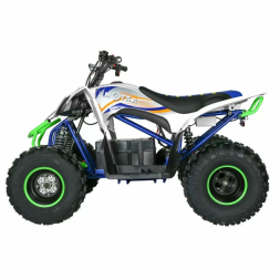 Квадроцикл Motax E-PENTORA 1500W, фото 2
