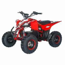 Квадроцикл Motax E-PENTORA 1500W, фото 1