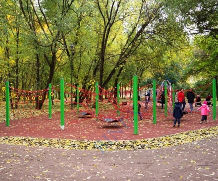 Комплект ДЖУНГЛИ, фото 11