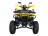 Квадроцикл AVANTIS Patriot Lux