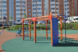 Спортивный комплекс 09010.21 для детской спортивной площадки, фото 2