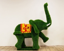 Топиари слон Борк - газон Eco Топиари слон Борк - газон Eco