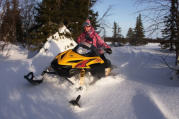 Снегоход РУССКАЯ МЕХАНИКА Tiksy 250 Люкс, фото 8