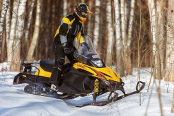 Снегоход РУССКАЯ МЕХАНИКА Tiksy 250 Люкс, фото 3