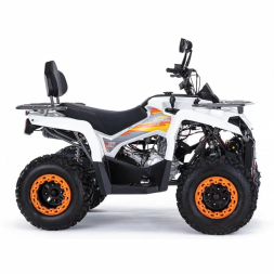 Квадроцикл MOTAX ATV Grizlik 200 Ultra, фото 5