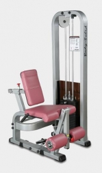 Разгибание ног сидя Body Solid ProClub SLE-200G, фото 1