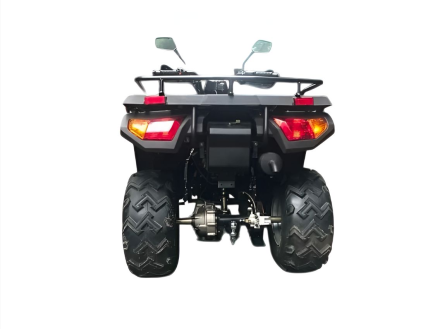 Квадроцикл RATO RT250ST Premium, фото 3