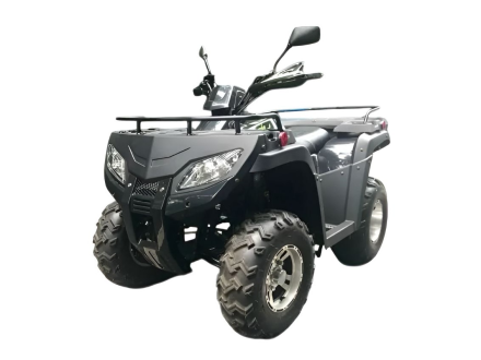 Квадроцикл RATO RT250ST Premium, фото 1