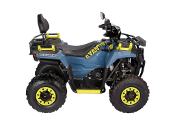 Квадроцикл AVANTIS Ray 200, фото 2