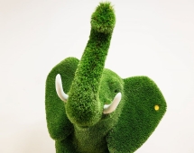 Топиари слон Абхей - газон Deluxe/Deluxe Green Топиари слон Абхей - газон Deluxe/Deluxe Green