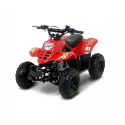 Квадроцикл Русская Механика РЫСЬ 50