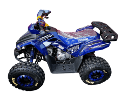 Квадроцикл MOTOLAND 125 Coyote Pro, фото 4