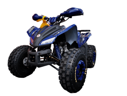 Квадроцикл MOTOLAND 125 Coyote Pro, фото 3