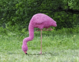 Топиари Фламинго розовый шея прямая, на водопое - газон Eco, фото 4