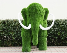 Топиари мамонт Олди - газон Eco Топиари мамонт Олди - газон Eco