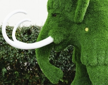 Топиари мамонт Олди - газон Eco Топиари мамонт Олди - газон Eco