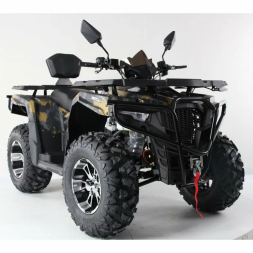 Квадроцикл MOTAX ATV Grizlik 300, фото 11